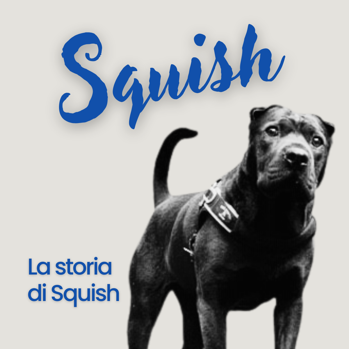Squish
